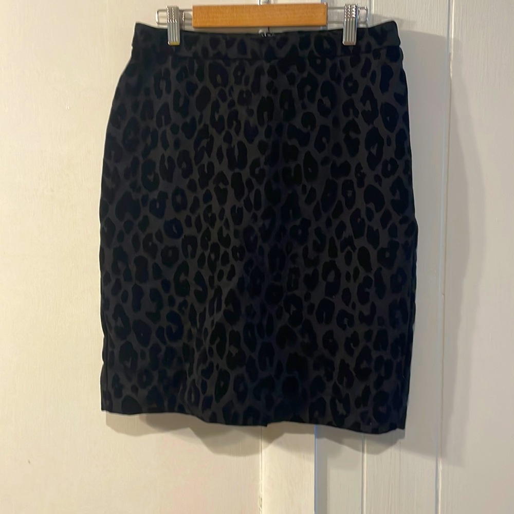 Ann Taylor Skirt